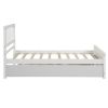 Twin size Platform Bed with Trundle